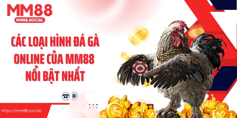 Các loại hình đá gà online của MM88 nổi bật nhất