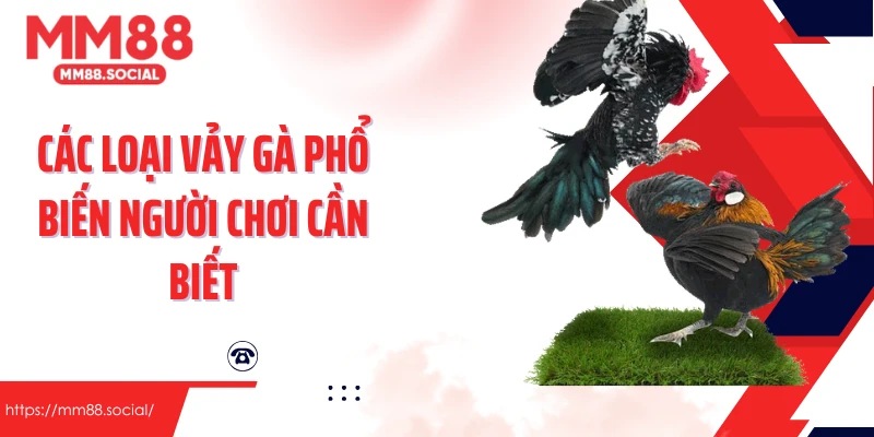 Các loại vảy gà phổ biến người chơi cần biết