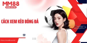 Cách Xem Kèo Bóng Đá Và Nguyên Tắc Cần Nắm Vững