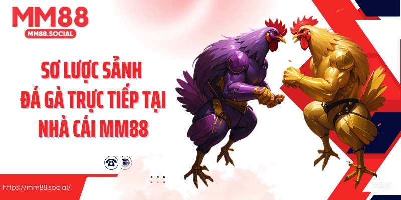 Sơ lược sảnh đá gà trực tiếp tại nhà cái MM88